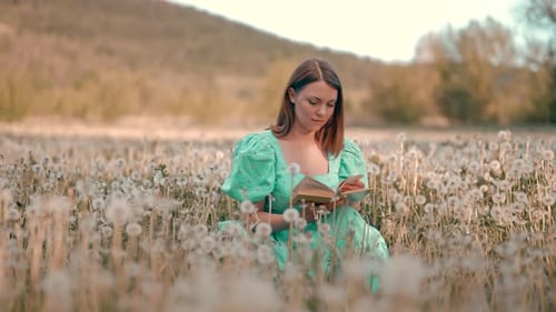 Woman Reading Book in Dandelion Field on Sunny Day