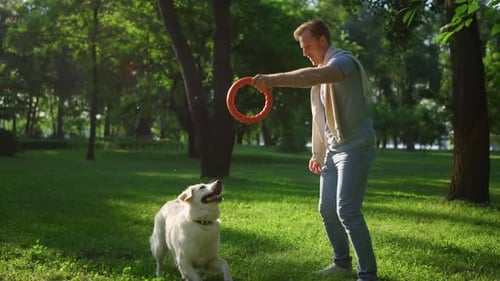 Lächelnder gutaussehender Mann Hund