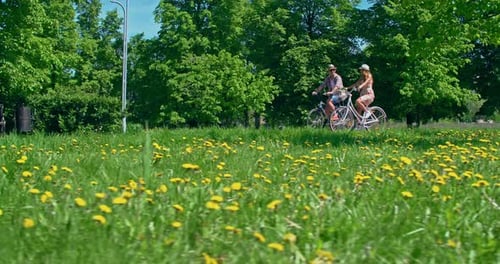 Couple on Tandem Bike Ride in Sunny Park