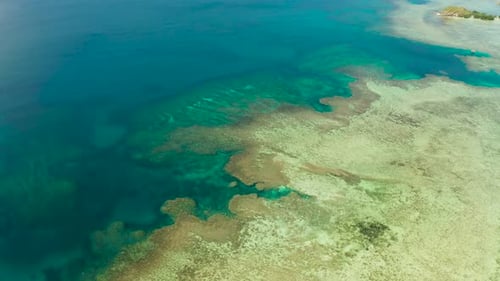 Tropische Landschaft mit blauem Meer und Korallenriff