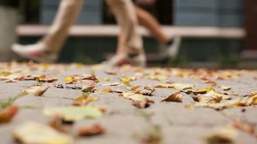 Sidewalk Covered in Autumn Leaves with Walking Pedestrians