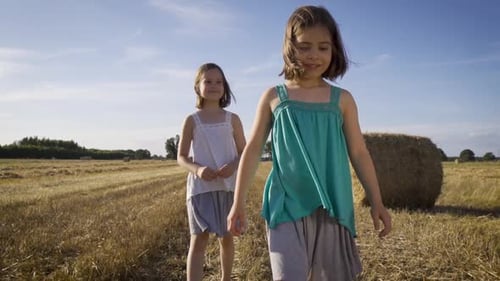 Two Charming Girls Are Walking on Mowed Rye in the Field