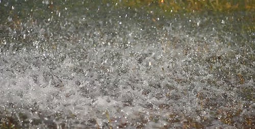 Water Splashes And Green Grass