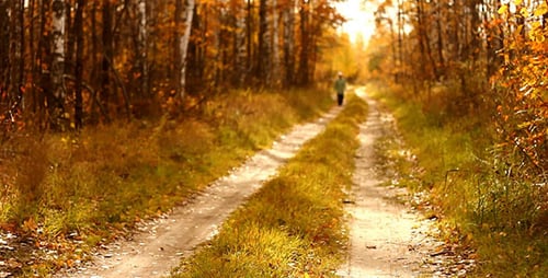 Woman Walking In Forest