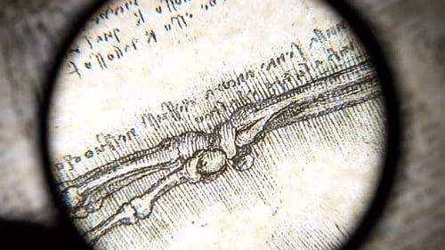 Anatomy art