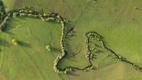 Vue Aérienne D'une Rivière Méandrante Dans Une Plaine Verte