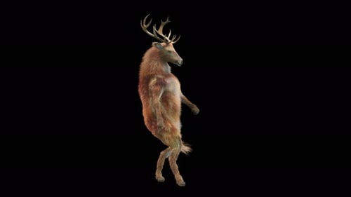 Dancing Deer 3D Animated Character