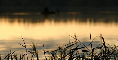Morning Dew On Grass And Lake