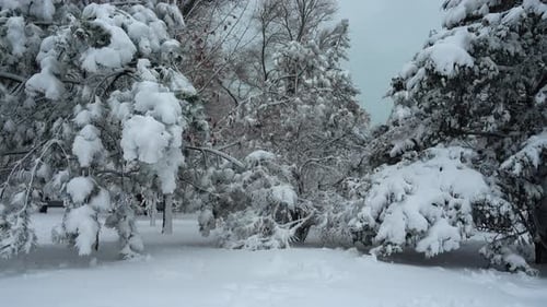 Winter Day 6