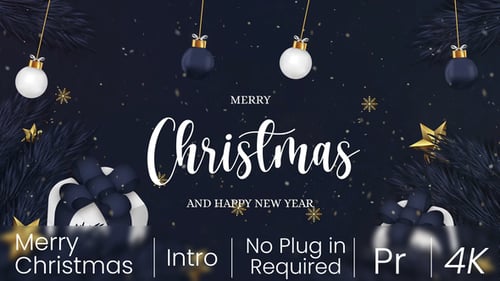 Elegant Christmas and New Year Title Card