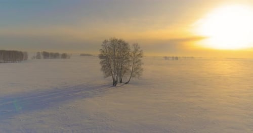 Aerial View of Cold Winter Landscape Arctic Field Trees Covered with Frost Snow Ice River and Sun