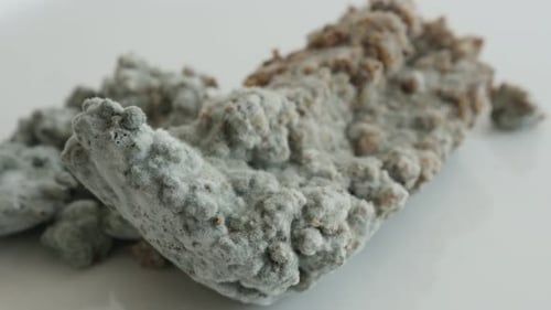 Spreading of mold bacteria cultures over bread surface slow tilt 4K 2160p 30fps UltraHD footage - F