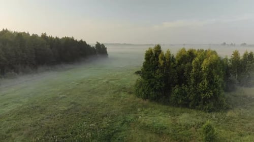 Aerial View of the Green Edge of the Forest with Bushes and Farmland Before Sunrise in Summer