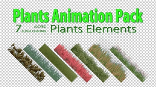Animated Realistic Grass and Plants for Transparent Backgrounds