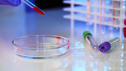 Laboratory Experiment with Blood Sample Close Up