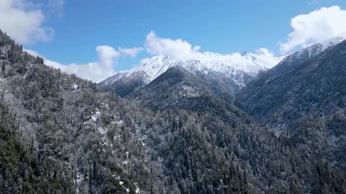 Schneebedeckte Berge und Wälder