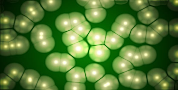 Organic Microscopic Cells Dividing Abstract Background Animation ...