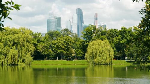 City Park and Pond in the Background of City Skyscrapers