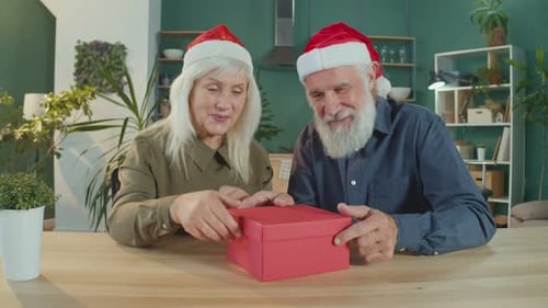 Senior Couple Opening Christmas Gift at Home