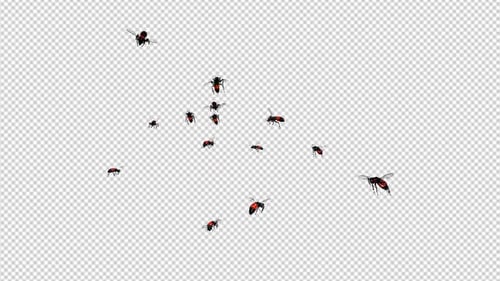 Bloody Wasps - Volando sobre la pantalla - Bucle 4K