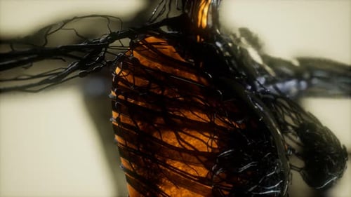 Futuristic Glowing Human Anatomy Digital Network