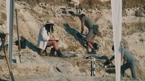 Colleagues Working on Archaeological Site