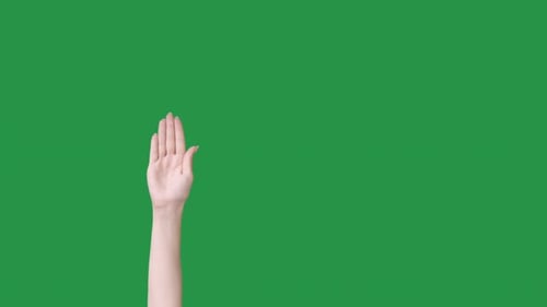 Hand Waving Against Chroma Key Background
