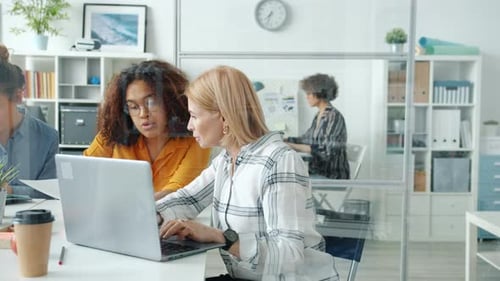Group of Office Workers Serious Females Using Laptops Typing and Talking Discussing Work