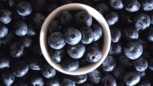 Bowl of Fresh Blueberries Close Up Food Still
