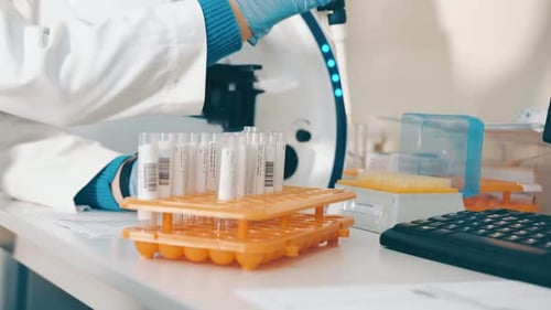 Scientist Using Pipette in a Laboratory Setting
