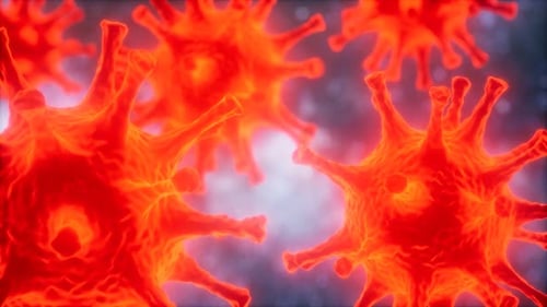 Loop Rotation of Coronavirus COVID-2019