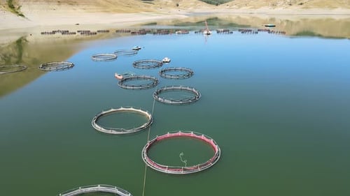 Aerial View of Circular Fish Farms on Lake