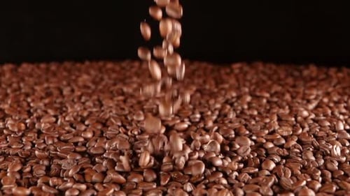Beans of Coffee Fall on a Heap on a Black