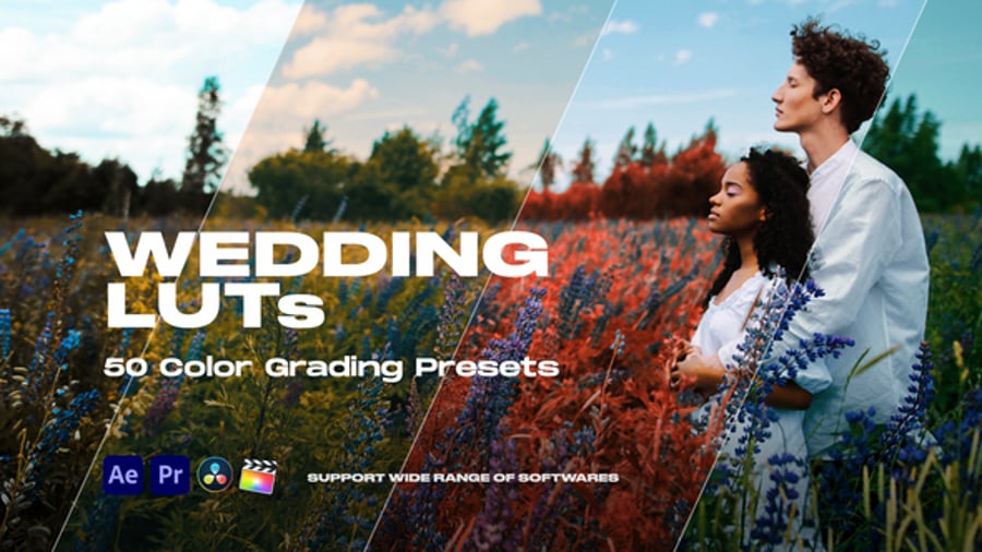 Cover for Colorify Wedding LUTs