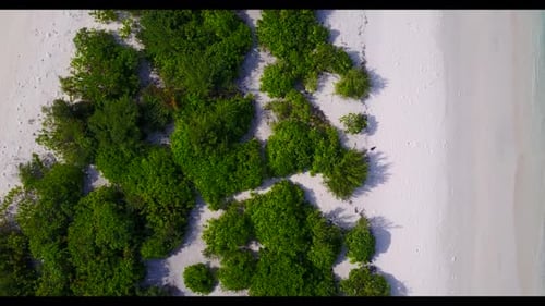 Aerial drone travel of tropical island beach lifestyle by clear ocean and bright sandy background of