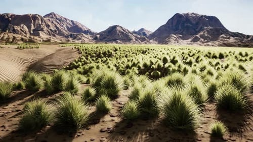 Beautiful Yellow Orange Sand Dune in Desert in Middle Asia