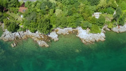Drone View of the Rocky Coast with Trees and Clear Sea Water
