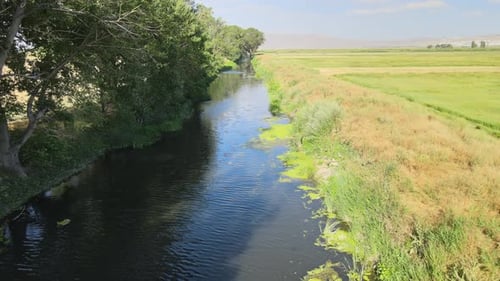 Fluss, moosige Landschaft, Natur