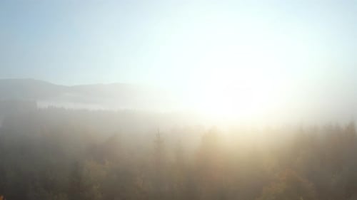 Flying Through the Fog Above a Bright Autumn Forest on the Slopes of the Mountains at Dawn