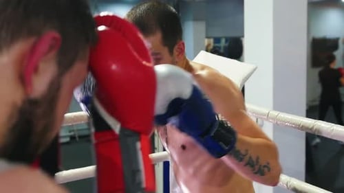 Two Man Having a Boxing Fight