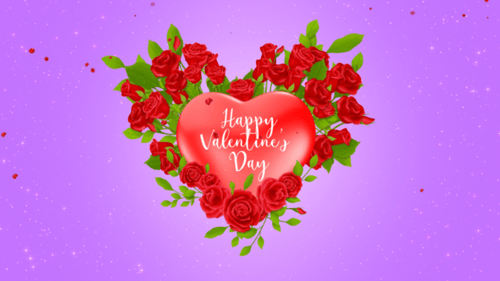 Valentine Rose Reveal