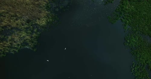 View from the above of the swamp area.