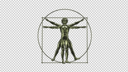 Vitruvian Man - Gold Spinning - Transparent Loop