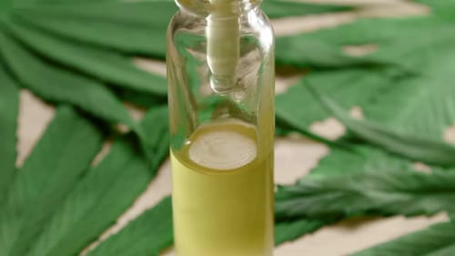 Óleo de cannabis no frasco conta-gotas com folhas verdes. Conceito de medicina alternativa.