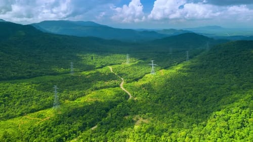 Lush Green Landscape With Power Lines