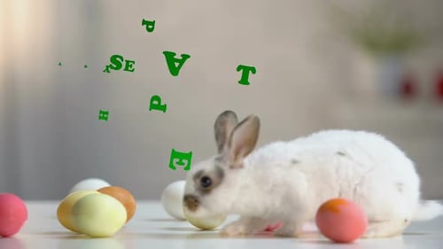 Easter Bunny with colorful eggs on white background