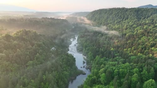 Volando sobre un río en la niebla en un hermoso amanecer