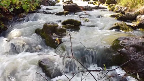 Vol d'une caméra sans pilote directement au-dessus de l'eau d'une rivière de montagne parmi des arbres, des forêts, des avions