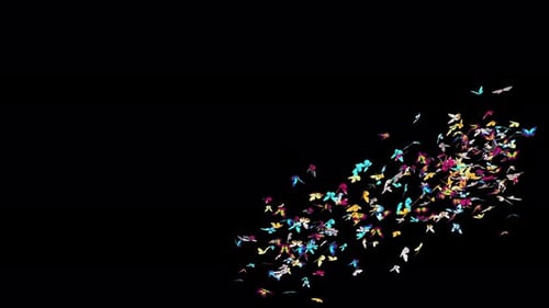 Animated Colorful Butterfly Swarm Transition