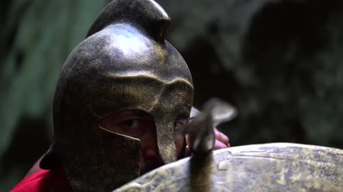 Medieval Warrior in the Woods